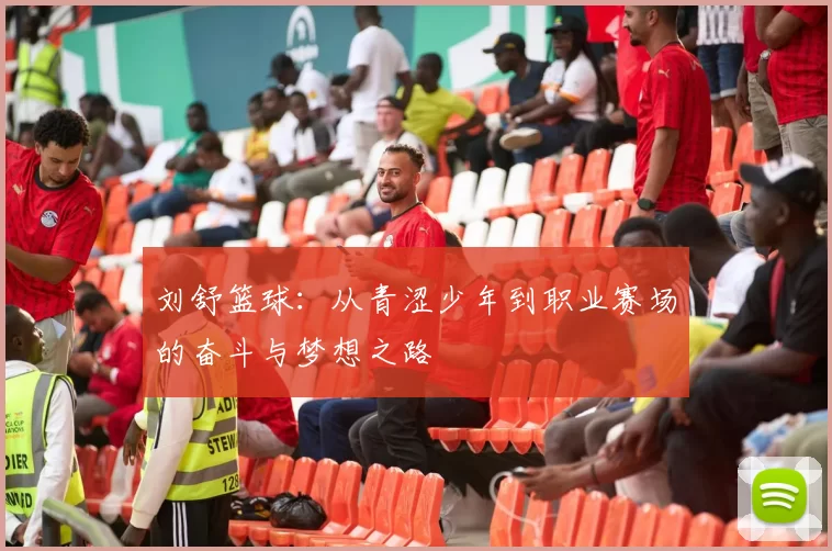 刘舒篮球：从青涩少年到职业赛场的奋斗与梦想之路